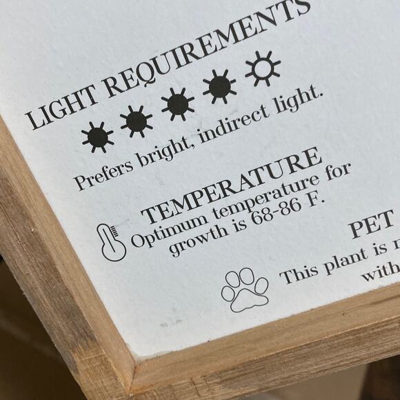 Fiddle Leaf Fig Art Primitive By Kathy Wood Sign Plant Care Guide Frame 10/21 PA - Picture 3 of 10